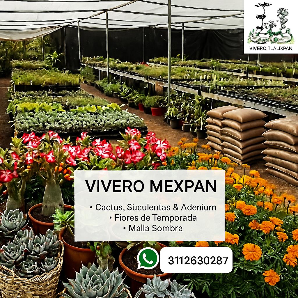 Vivero Tlalixpan
